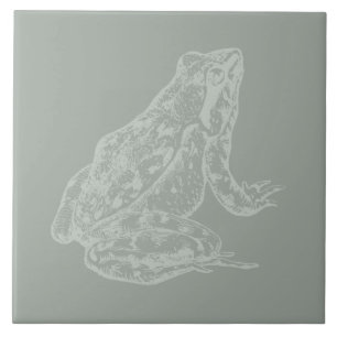 Illustrated Frog CUSTOM COLOR Frog Art Ceramic Tile