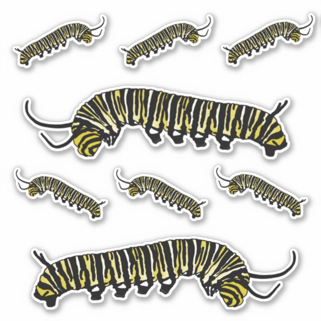 Illustrated Monarch Butterfly Caterpillar Stickers (Front)