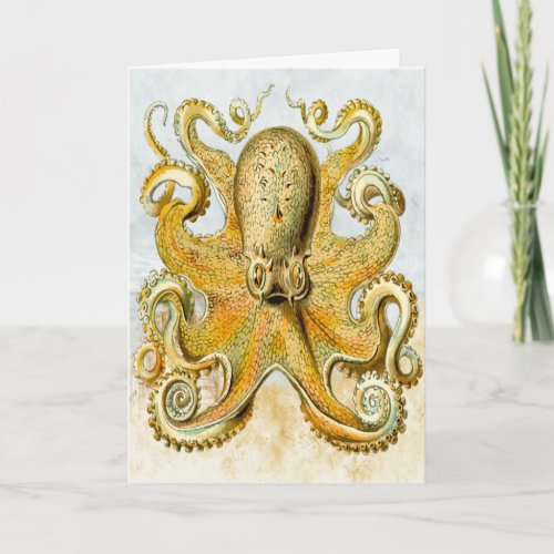 Illustrated Octopus Squid Happy Birthday Card