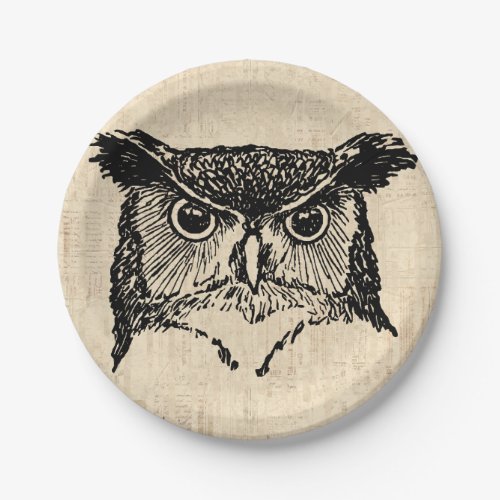 Illustrated Owl Art Paper Plates