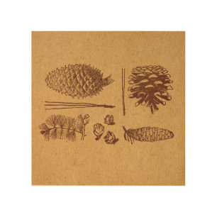 Illustrated Pine Cones Vintage Pinecone Art