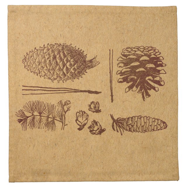Illustrated Pine Cones Vintage Pinecone Art Cloth Napkin (Front)
