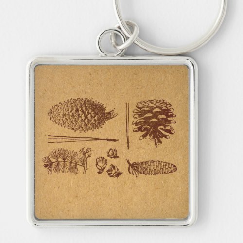 Illustrated Pine Cones Vintage Pinecone Art Keychain