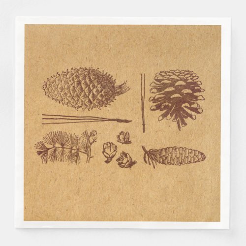 Illustrated Pine Cones Vintage Pinecone Art Paper Dinner Napkins