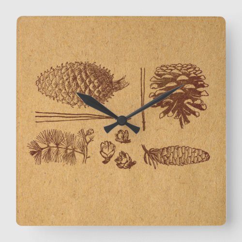 Illustrated Pine Cones Vintage Pinecone Art Square Wall Clock
