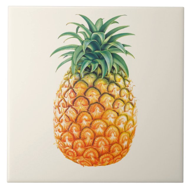 Illustrated Pineapple design Ceramic Tile (Front)