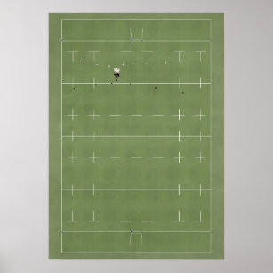 Illustrated Rugby Field from above Poster