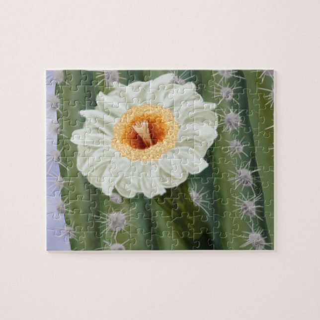 Illustrated Saguaro Cactus White Flower Jigsaw Puzzle (Horizontal)