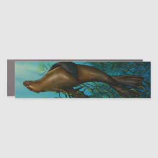 Illustrated Sea lion in a kelp forest Car Magnet