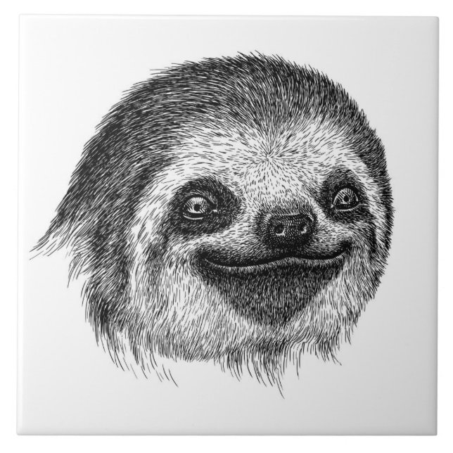 Illustrated Sloth Face Ceramic Tile (Front)
