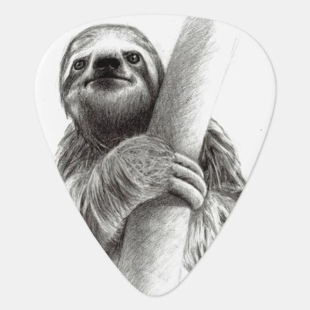 Illustrated Sloth Guitar Pick