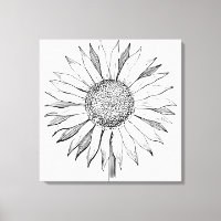 Illustrated Sunflower