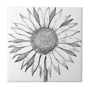 Illustrated Sunflower Ceramic Tile