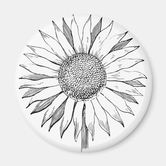Illustrated Sunflower Magnet (Front)