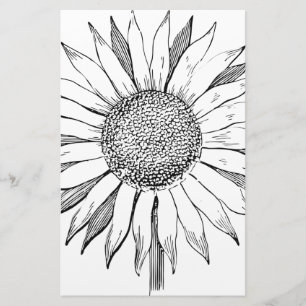 Illustrated Sunflower Stationery