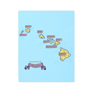 Illustrated Travel map Of Hawaii Metal Print