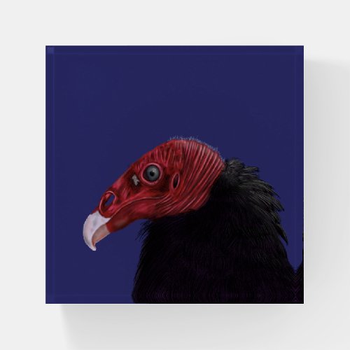 Illustrated Turkey Vulture Paperweight