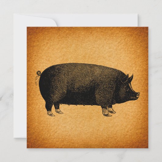 Illustrated Vintage Pig Rustic Art (Front)