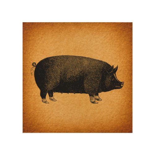 Illustrated Vintage Pig Rustic Art