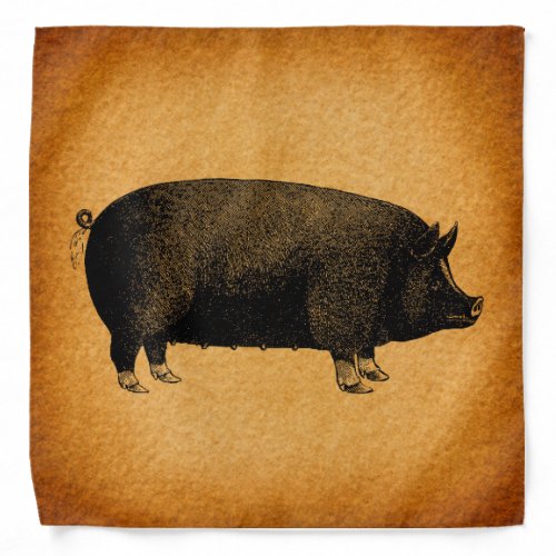 Illustrated Vintage Pig Rustic Art Bandana