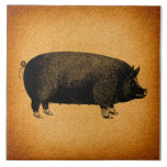 Illustrated Vintage Pig Rustic Art Ceramic Tile at Zazzle