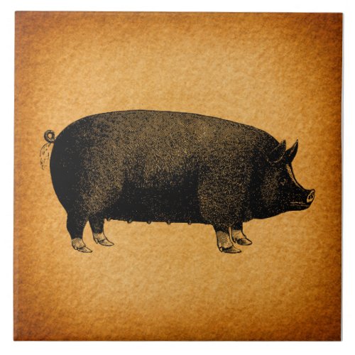 Illustrated Vintage Pig Rustic Art Ceramic Tile