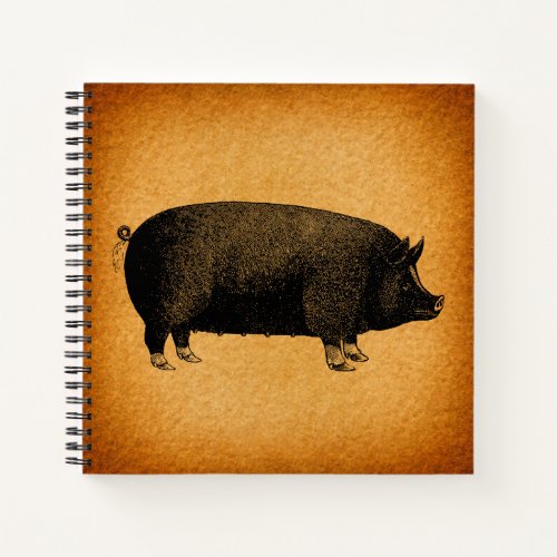 Illustrated Vintage Pig Rustic Art Notebook