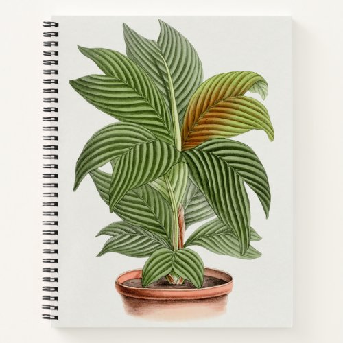 Illustrated Vintage Plant Print Bullet Journal 