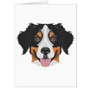 Illustration Bernese Mountain Dog Card