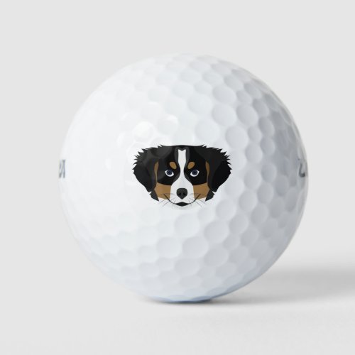 Illustration Bernese Mountain Dog Golf Balls