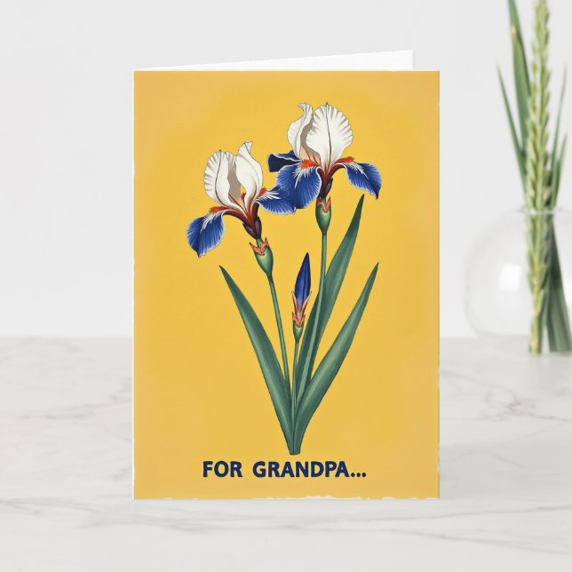 Illustration For Fathers Card (Front)