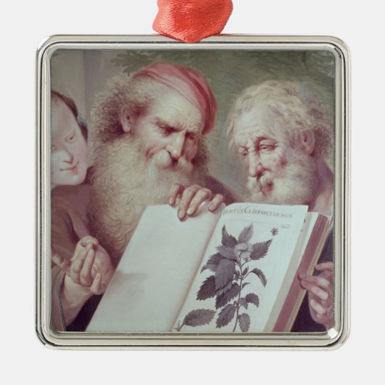 Illustration from Hortus Cliffortianus Metal Ornament