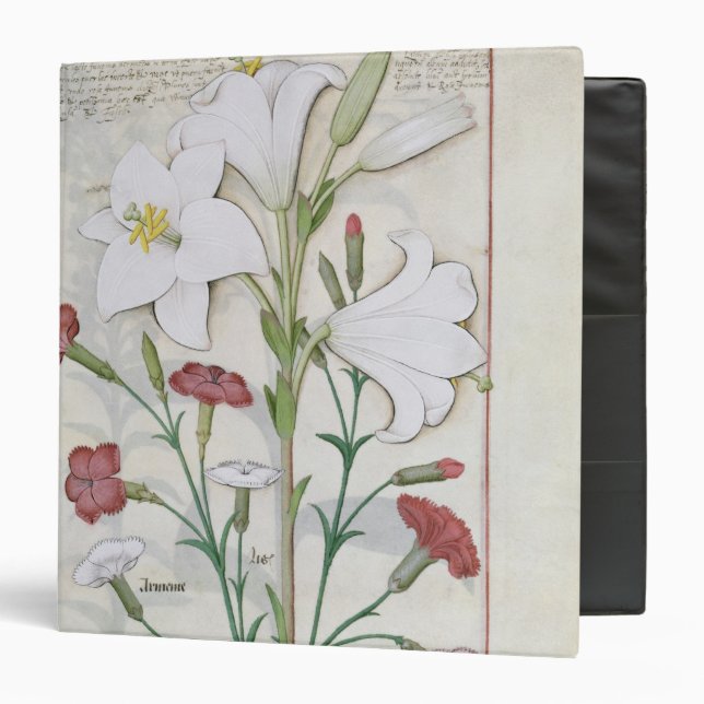 Illustration from the 'Book of Simple 3 Ring Binder (Front/Inside)