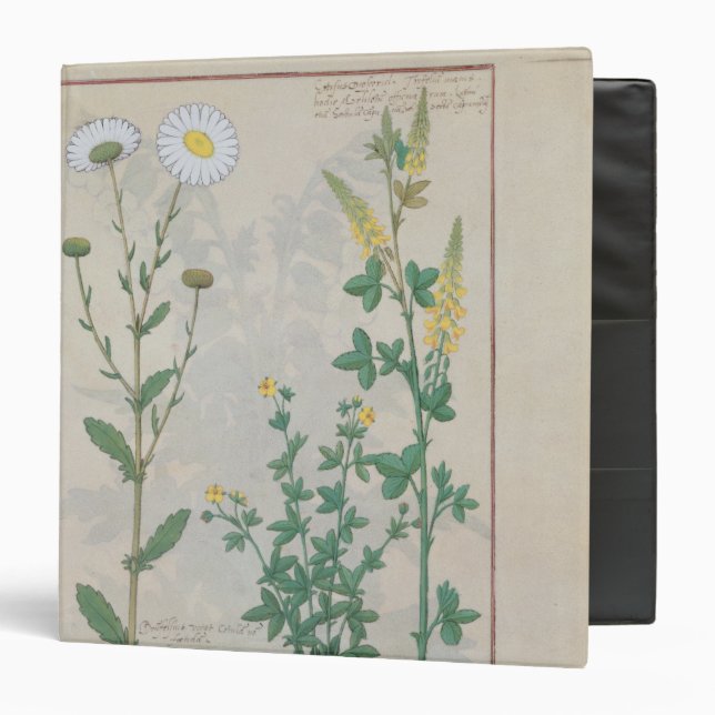 Illustration from 'The Book of Simple Binder (Front/Inside)