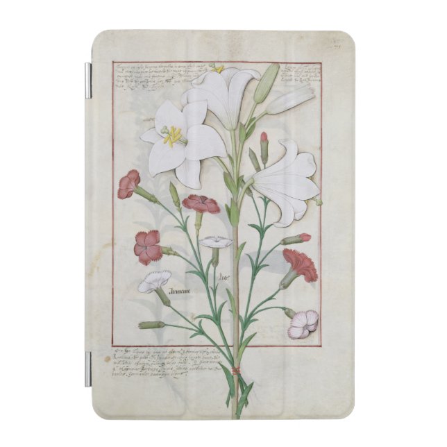 Illustration from the 'Book of Simple iPad Mini Cover (Front)