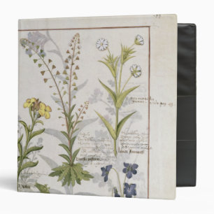 Illustration from the 'Book of Simple Medicines' 2 3 Ring Binder