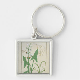 Illustration from the 'Book of Simple Medicines' 2 Keychain