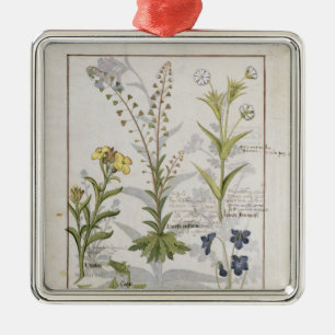 Illustration from the 'Book of Simple Medicines' 2 Metal Ornament