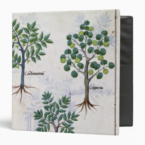 Illustration from the Book of Simple Medicines 3 Ring Binder