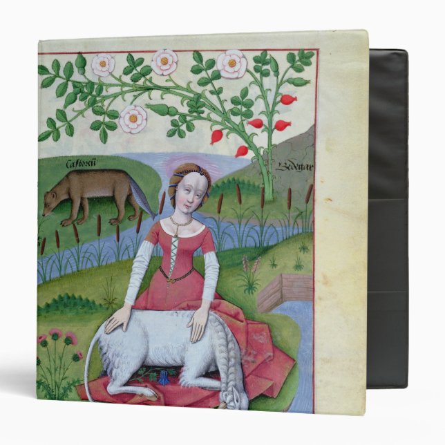 Illustration from the 'Book of Simple Medicines' Binder (Front/Inside)