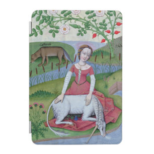 Illustration from the 'Book of Simple Medicines' iPad Mini Cover