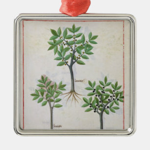Illustration from the 'Book of Simple Medicines' Metal Ornament
