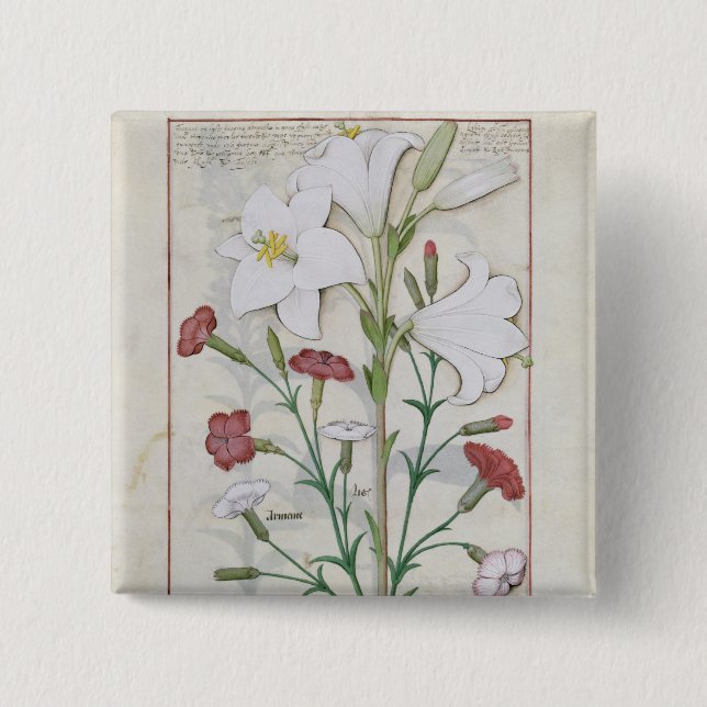 Illustration from the 'Book of Simple Pinback Button (Front)