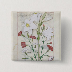 Illustration from the 'Book of Simple Pinback Button