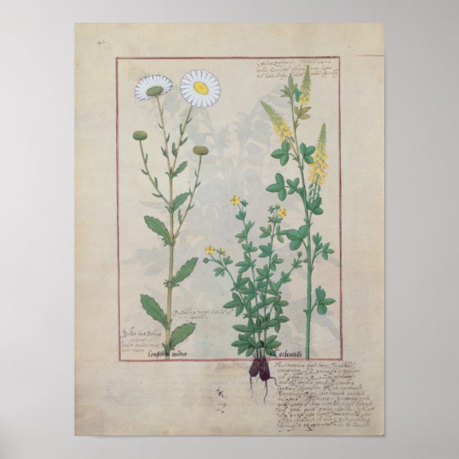 Illustration from 'The Book of Simple Poster (Front)