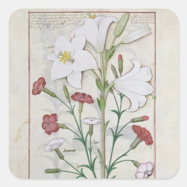 Illustration from the 'Book of Simple Square Sticker (Front)