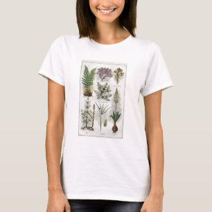 Illustration in ""MON DOCTEUR" T-Shirt