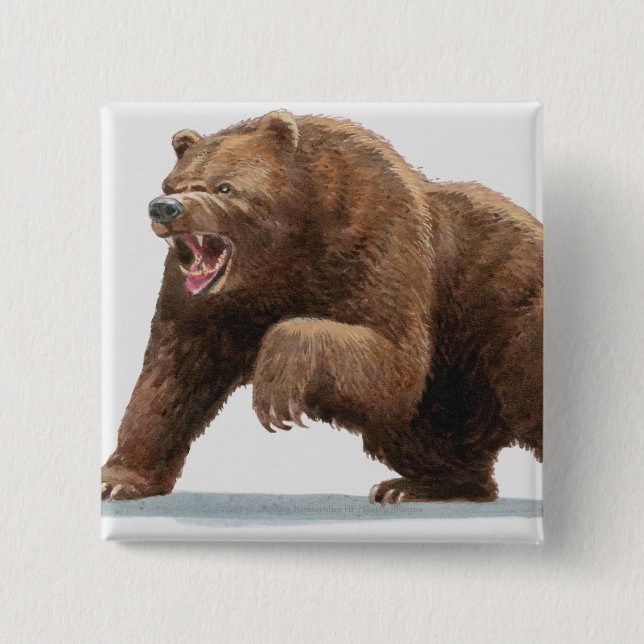 Illustration of a Brown bear Pinback Button (Front)