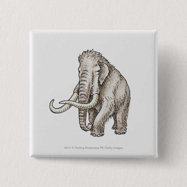 Illustration of a mammoth button (Front)