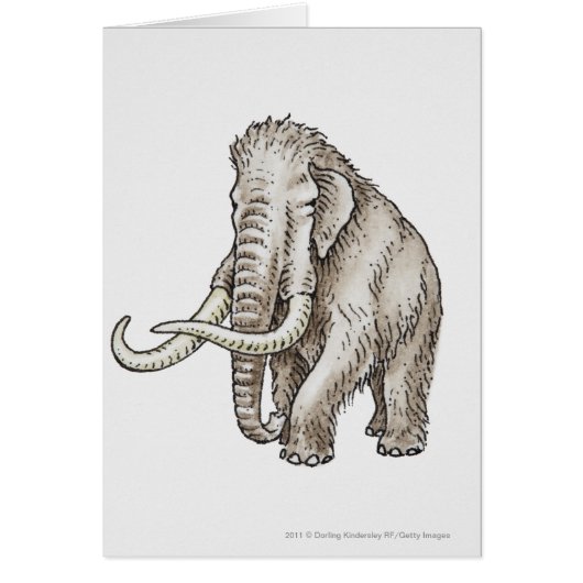 Illustration of a mammoth cards (Front)